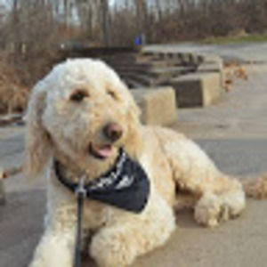 Meet your Posher, Jacob